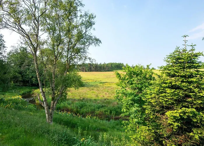 Tranquil Riverside Retreat Casa vacanze Holstebro
